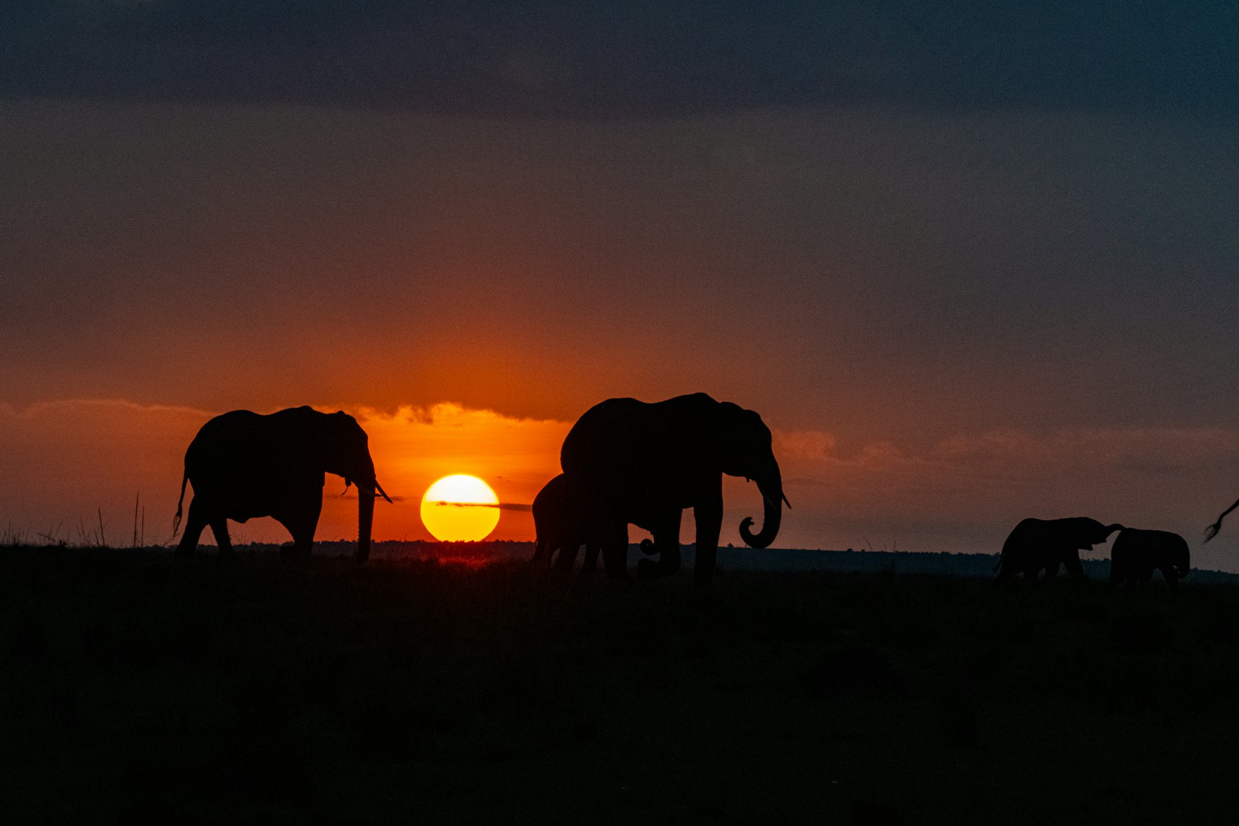 Kenya